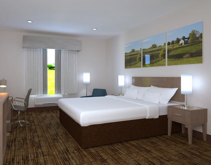 Claron Pointe 3 Pass Blackout Maze Patterned Nickel Color and Sheer Flora Patterned Dusk Color